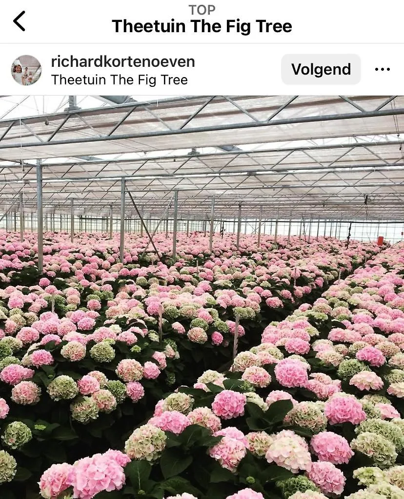 Een Luxe Safari Tent Rijsenhout Luxury tent